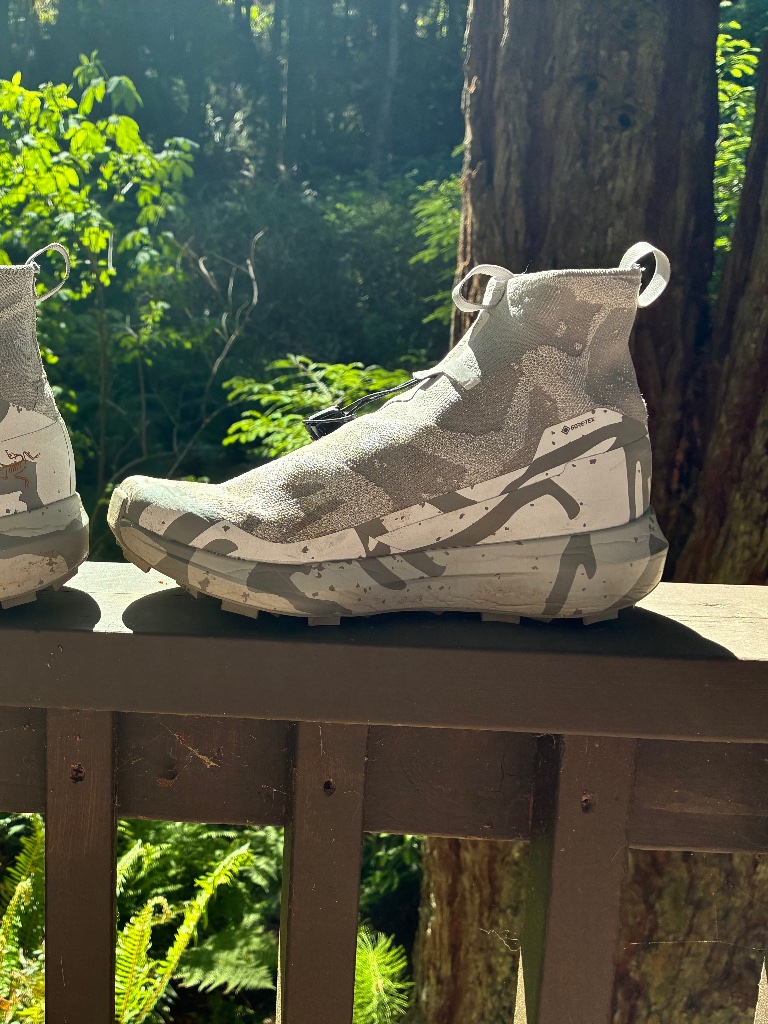 Norvan 4 Nivalis Gtx Shoe